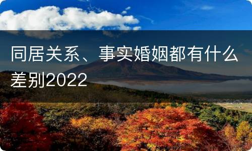 同居关系、事实婚姻都有什么差别2022