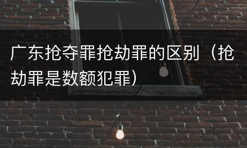 广东抢夺罪抢劫罪的区别（抢劫罪是数额犯罪）