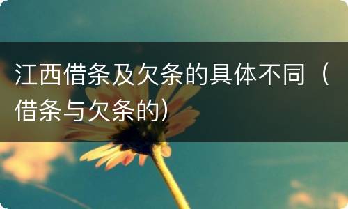 江西借条及欠条的具体不同（借条与欠条的）