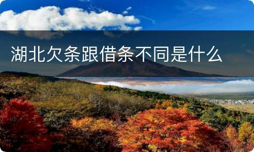 湖北欠条跟借条不同是什么