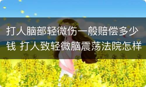 打人脑部轻微伤一般赔偿多少钱 打人致轻微脑震荡法院怎样判