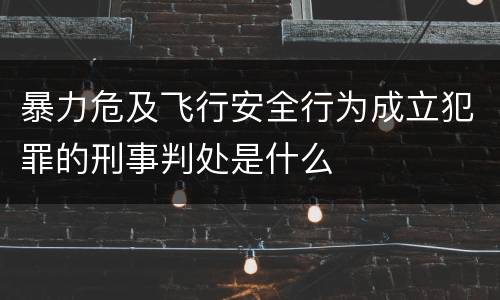 暴力危及飞行安全行为成立犯罪的刑事判处是什么