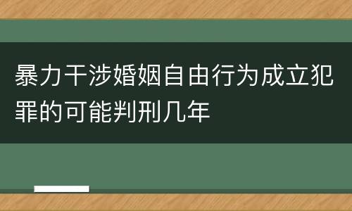 暴力干涉婚姻自由行为成立犯罪的可能判刑几年