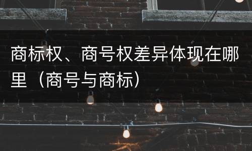 商标权、商号权差异体现在哪里（商号与商标）