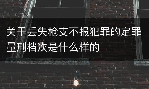 关于丢失枪支不报犯罪的定罪量刑档次是什么样的