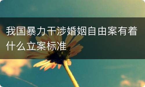 我国暴力干涉婚姻自由案有着什么立案标准