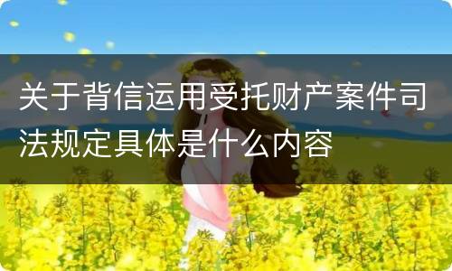 关于背信运用受托财产案件司法规定具体是什么内容