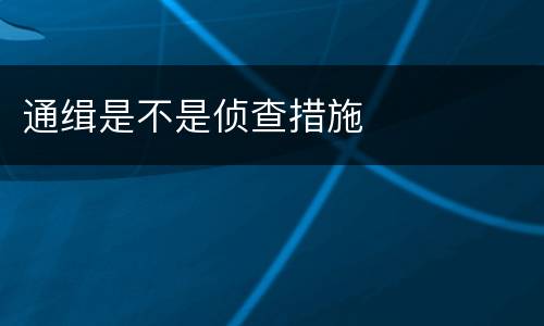 通缉是不是侦查措施