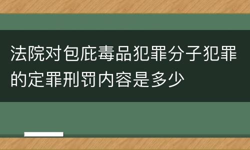 法院对包庇毒品犯罪分子犯罪的定罪刑罚内容是多少