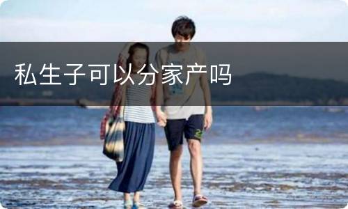 私生子可以分家产吗