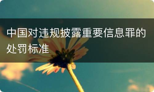 中国对违规披露重要信息罪的处罚标准