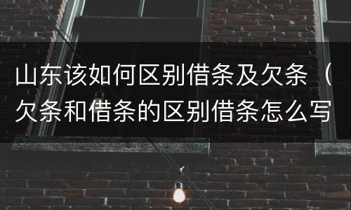 山东该如何区别借条及欠条（欠条和借条的区别借条怎么写）