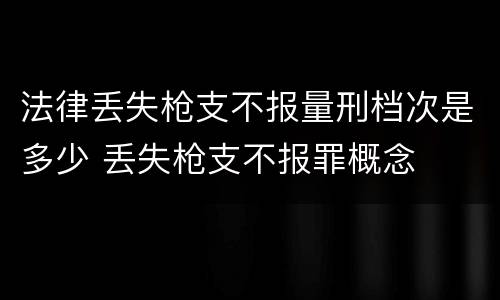 法律丢失枪支不报量刑档次是多少 丢失枪支不报罪概念