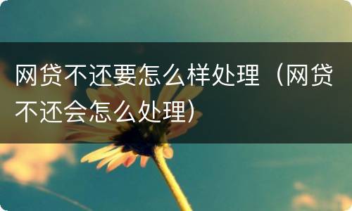 网贷不还要怎么样处理（网贷不还会怎么处理）