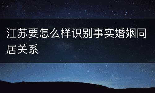 江苏要怎么样识别事实婚姻同居关系