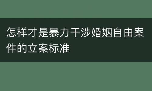 怎样才是暴力干涉婚姻自由案件的立案标准