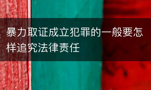 暴力取证成立犯罪的一般要怎样追究法律责任