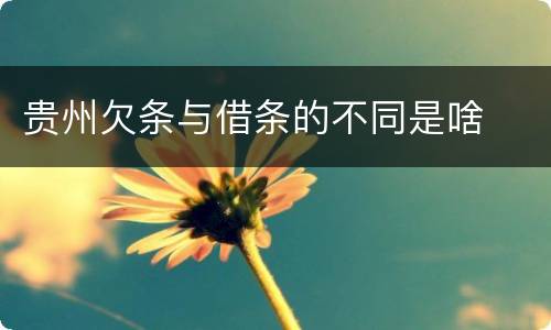贵州欠条与借条的不同是啥