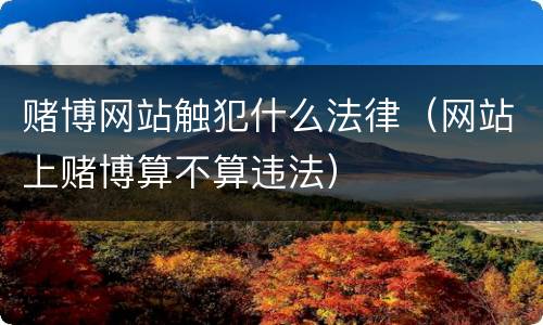 赌博网站触犯什么法律（网站上赌博算不算违法）