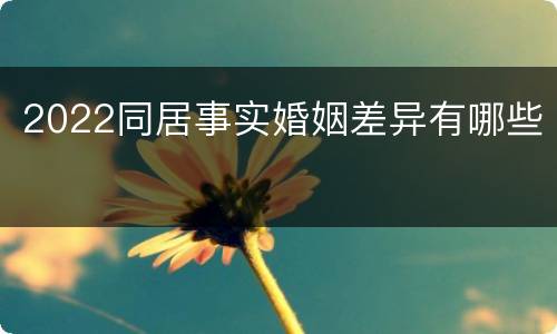 2022同居事实婚姻差异有哪些