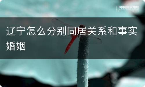 辽宁怎么分别同居关系和事实婚姻