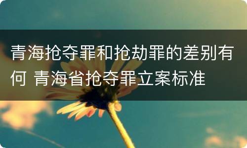 青海抢夺罪和抢劫罪的差别有何 青海省抢夺罪立案标准