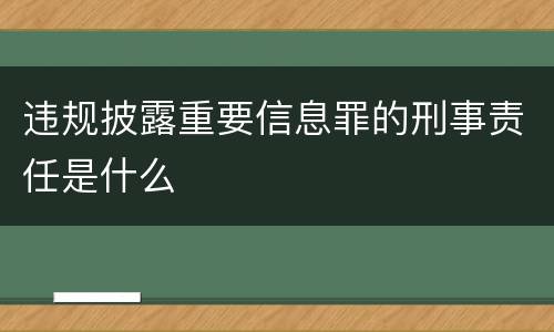 违规披露重要信息罪的刑事责任是什么