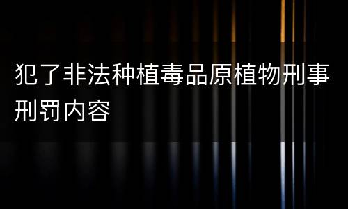 犯了非法种植毒品原植物刑事刑罚内容