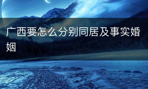 广西要怎么分别同居及事实婚姻