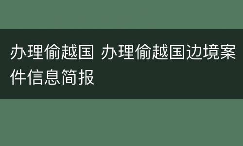 办理偷越国 办理偷越国边境案件信息简报
