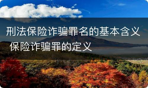 刑法保险诈骗罪名的基本含义 保险诈骗罪的定义
