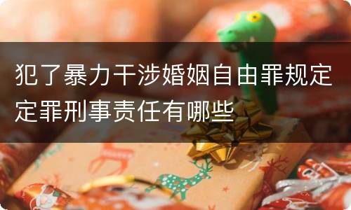犯了暴力干涉婚姻自由罪规定定罪刑事责任有哪些