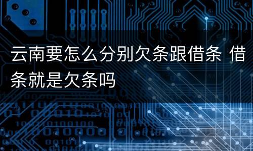 云南要怎么分别欠条跟借条 借条就是欠条吗