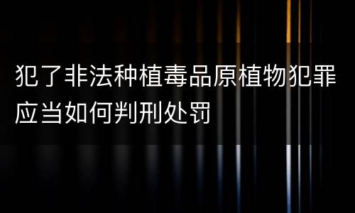 犯了非法种植毒品原植物犯罪应当如何判刑处罚