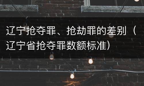 辽宁抢夺罪、抢劫罪的差别（辽宁省抢夺罪数额标准）