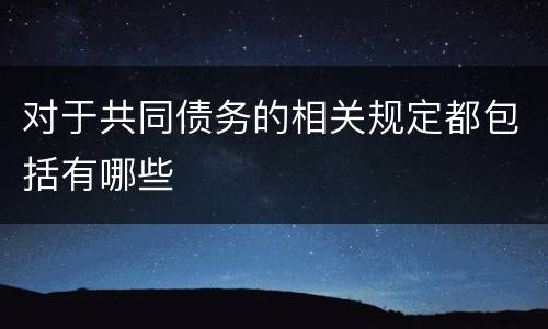 对于共同债务的相关规定都包括有哪些
