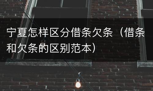 宁夏怎样区分借条欠条（借条和欠条的区别范本）