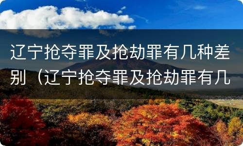 辽宁抢夺罪及抢劫罪有几种差别（辽宁抢夺罪及抢劫罪有几种差别案例）