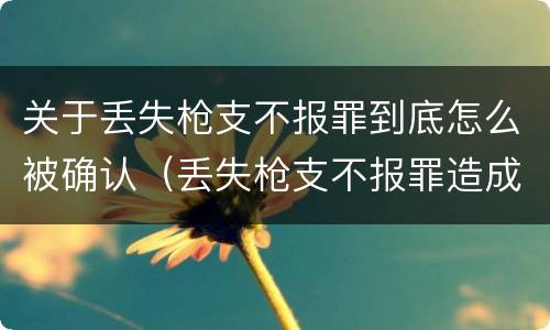 关于丢失枪支不报罪到底怎么被确认（丢失枪支不报罪造成严重后果）
