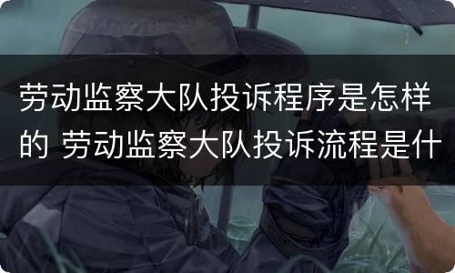 劳动监察大队投诉程序是怎样的 劳动监察大队投诉流程是什么
