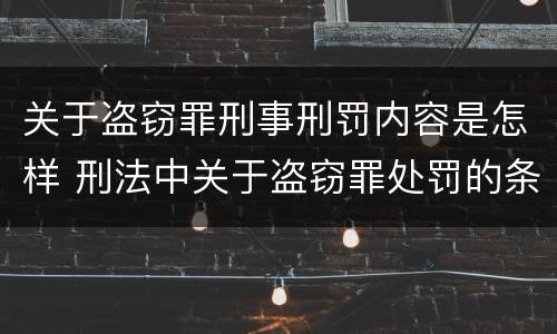 关于盗窃罪刑事刑罚内容是怎样 刑法中关于盗窃罪处罚的条文