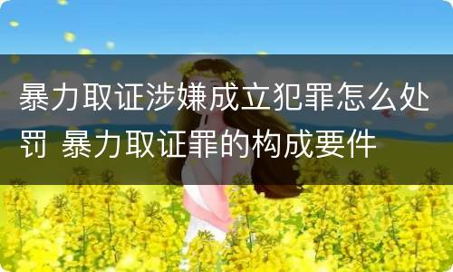 暴力取证涉嫌成立犯罪怎么处罚 暴力取证罪的构成要件