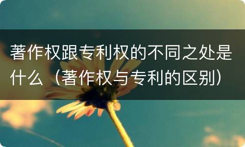 著作权跟专利权的不同之处是什么（著作权与专利的区别）