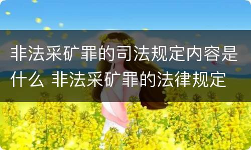 非法采矿罪的司法规定内容是什么 非法采矿罪的法律规定