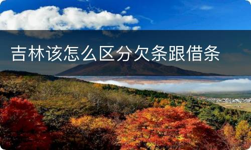 吉林该怎么区分欠条跟借条