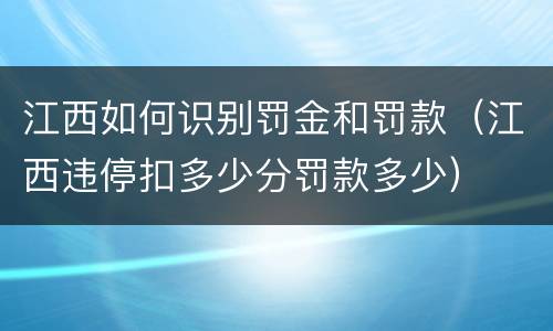 江西如何识别罚金和罚款（江西违停扣多少分罚款多少）