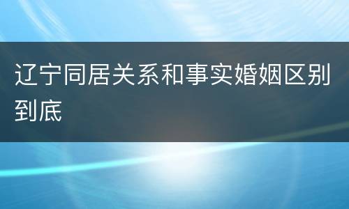 辽宁同居关系和事实婚姻区别到底