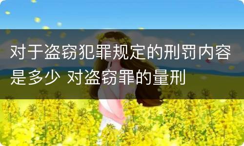 对于盗窃犯罪规定的刑罚内容是多少 对盗窃罪的量刑