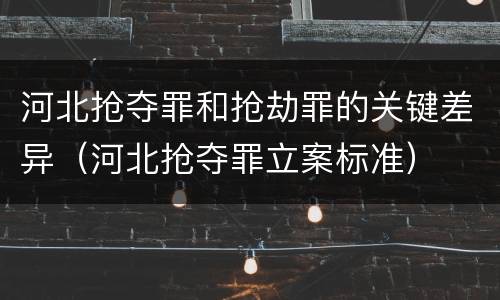 河北抢夺罪和抢劫罪的关键差异（河北抢夺罪立案标准）