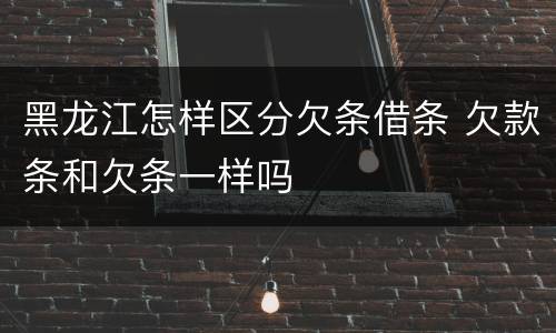 黑龙江怎样区分欠条借条 欠款条和欠条一样吗